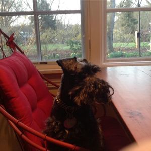 Meet your Posher, Theresa