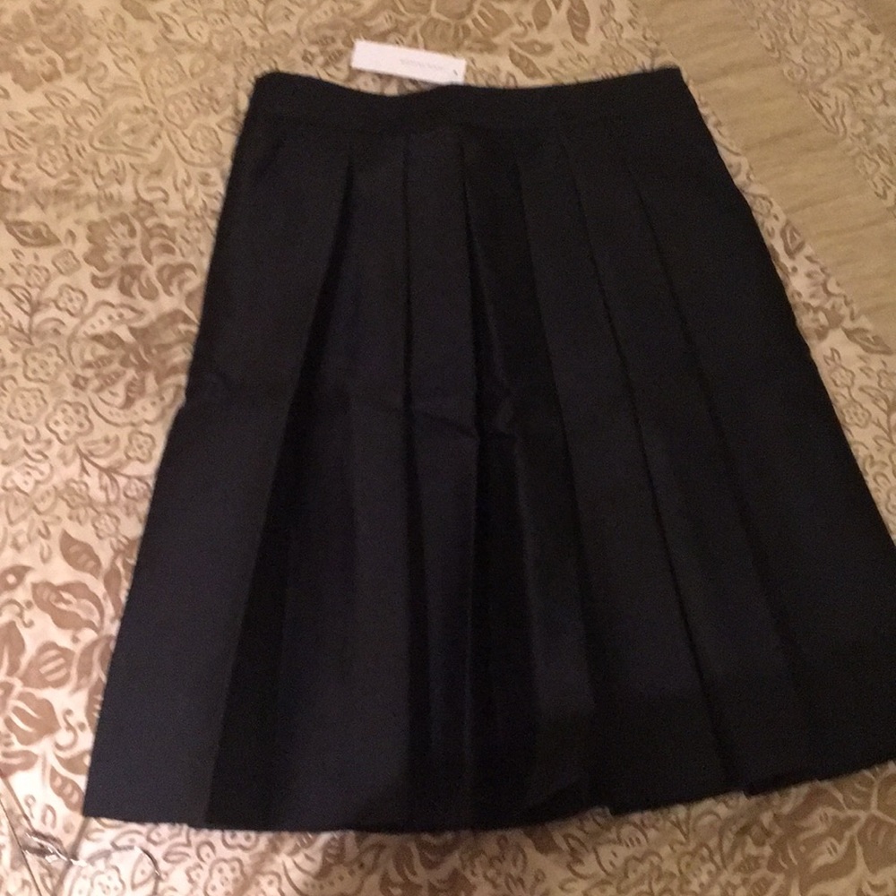 Ann Taylor Dressy Skirt