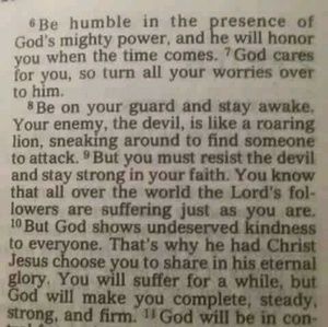 Meet your Posher, Cameron