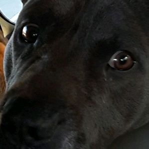 Meet your Posher, Isaiah