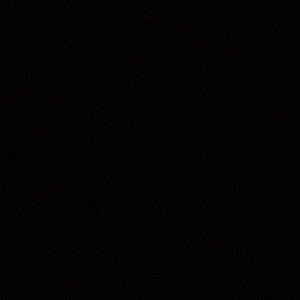 Meet your Posher, Damon