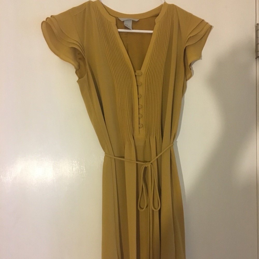 H&M ruffle sleeved dress