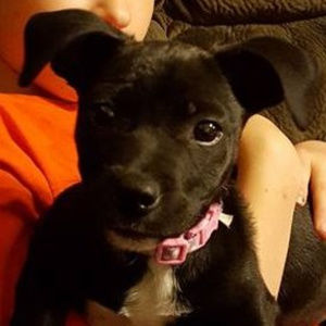 Meet your Posher, Amy