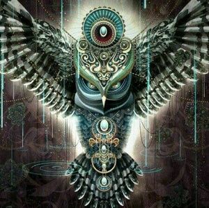 Meet your Posher, Marcos