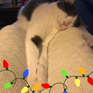 Meet your Posher, Edith