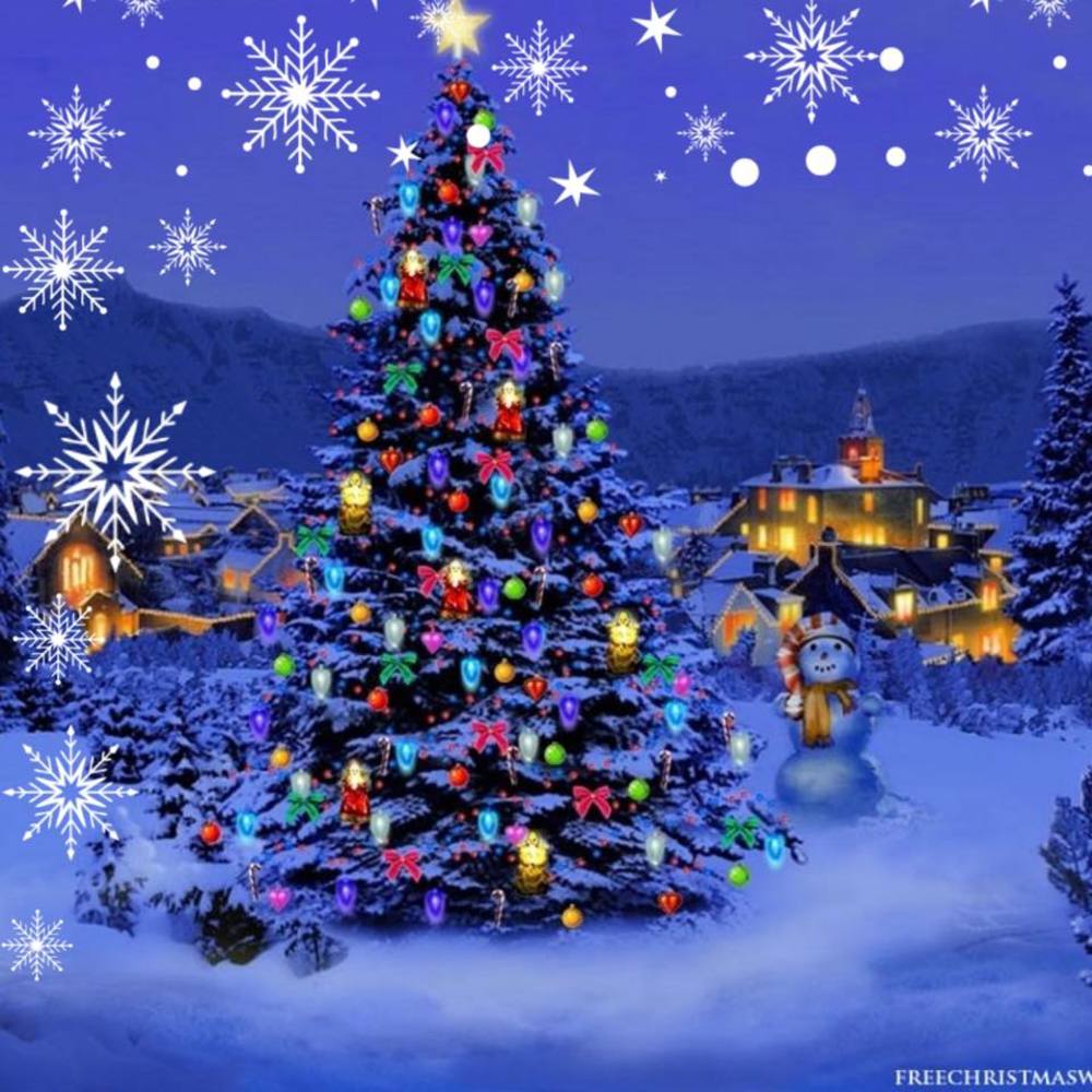 Meet your Posher, Trish