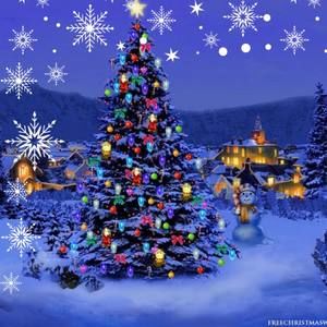 Meet your Posher, Trish