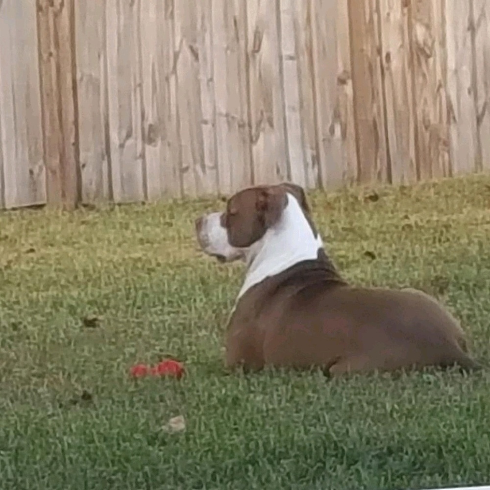 Meet your Posher, Tara