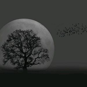 Meet your Posher, Marioni