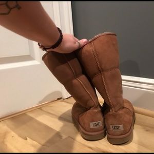 Tall Chestnut Ugg Boots