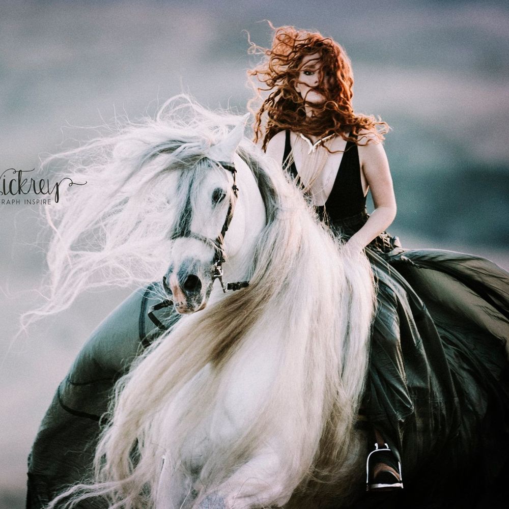 Meet your Posher, Morgan