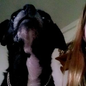 Meet your Posher, Madelyn