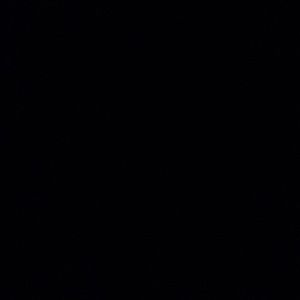 Meet your Posher, Tamiaya