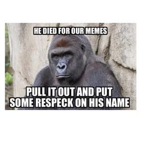 Meet your Posher, Erick