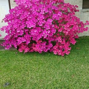 Meet your Posher, Charlotte