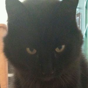 Meet your Posher, Molly