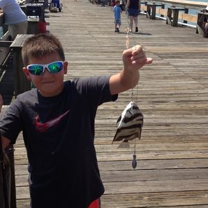 Meet your Posher, Scott