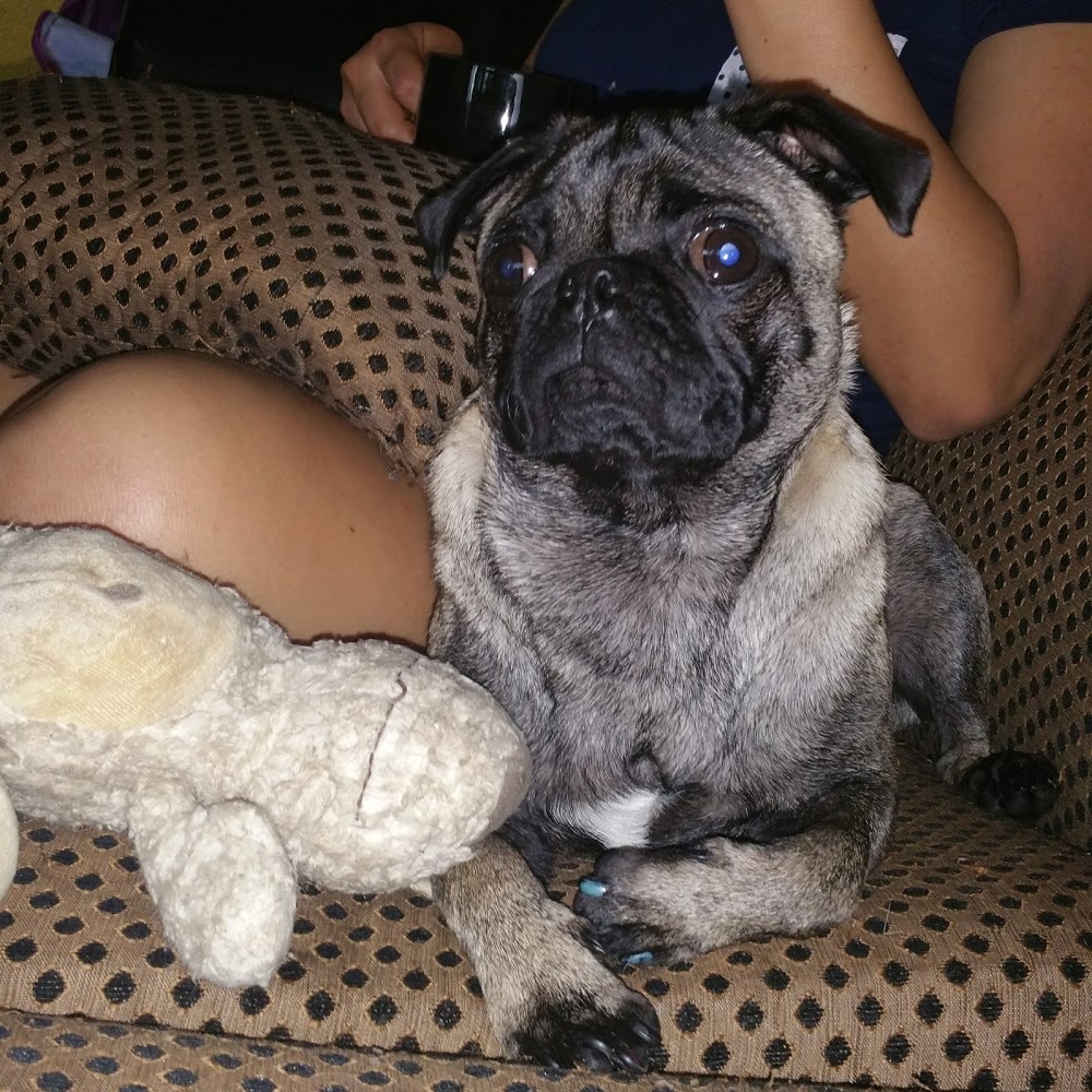 Meet your Posher, Alondra