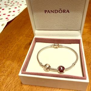 Sterling Silver Pandora Charm Bracelet