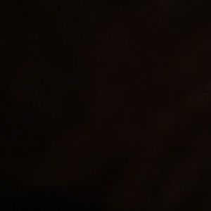 Meet your Posher, Xavier