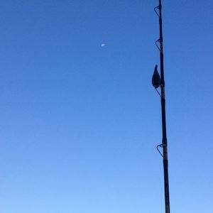 Meet your Posher, Terry