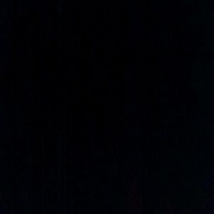 Meet your Posher, Van