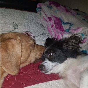 Meet your Posher, Ana