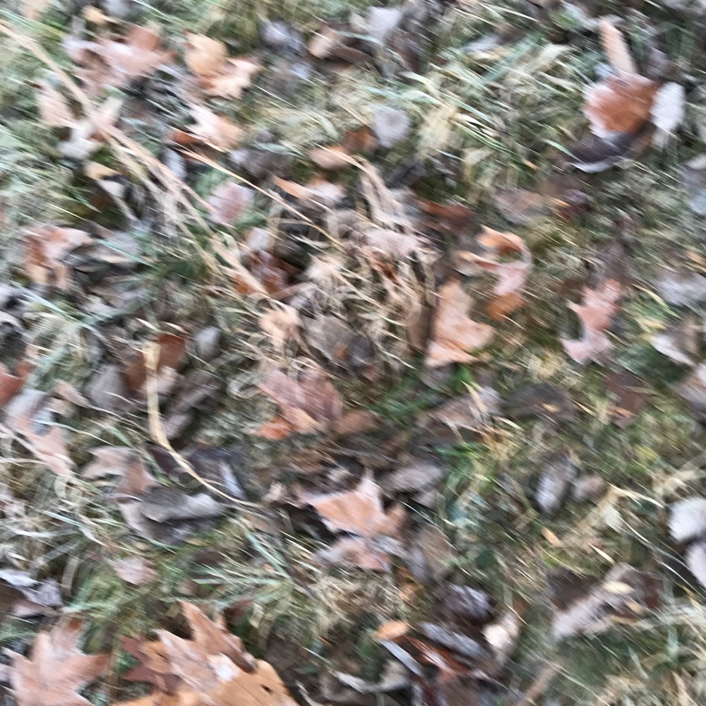 Meet your Posher, Ciar