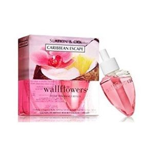 Bath and Body Works wallflower 2 pack