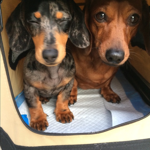 ❤️❤️❤️❤️❤️❤️❤️❤️ - Picture 1 of 2