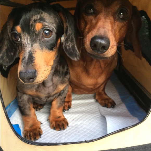 ❤️❤️❤️❤️❤️❤️❤️❤️ - Picture 2 of 2