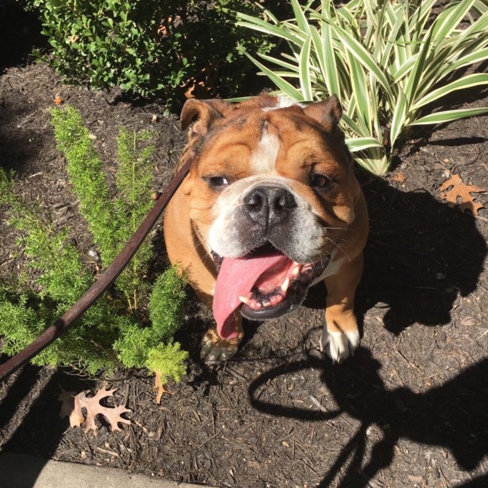 Meet your Posher, J.a