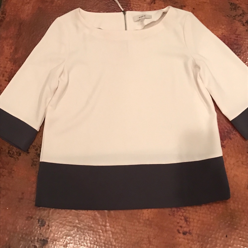 Ann Taylor Loft Blouse