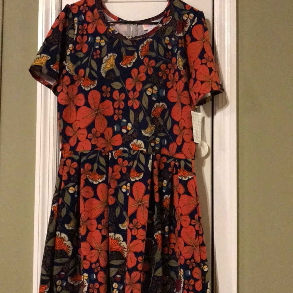 LuLaRoe Amelia xl