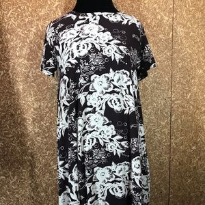 Like New Fall/ Winter Swing Dress