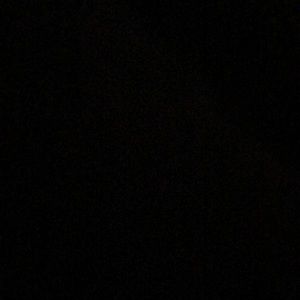 Meet your Posher, Maddie