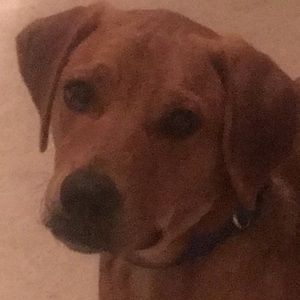 Meet your Posher, Connor