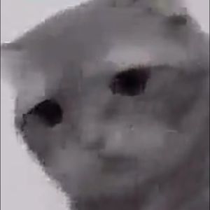 Meet your Posher, Harrison