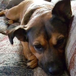 Meet your Posher, Angela