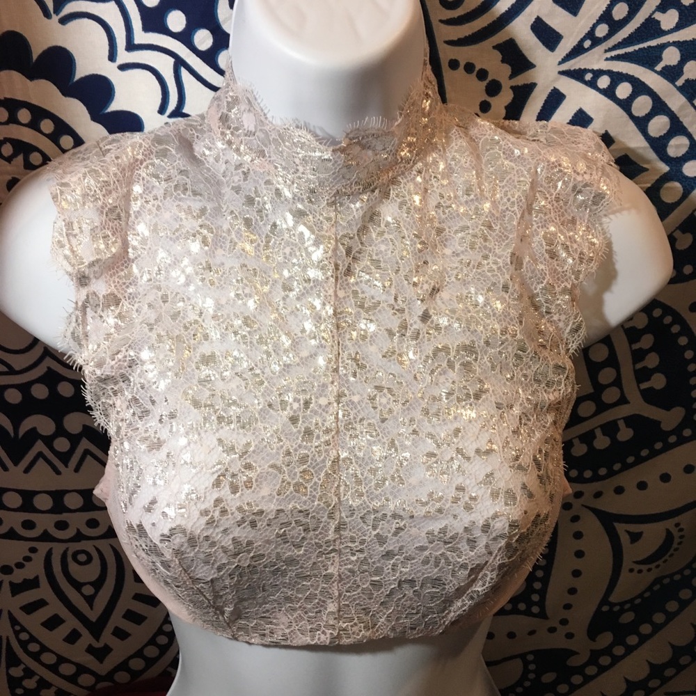 NWT Victoria Secret Light Pink and Silver Bra 32B - Picture 2 of 5