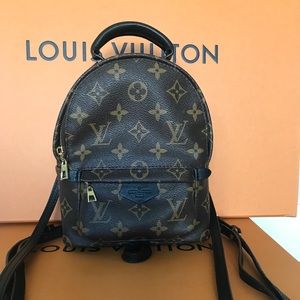 Louis Vuitton Palm Springs Mini