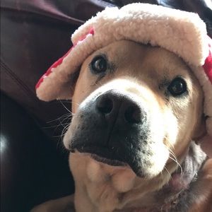 Meet your Posher, Thomas