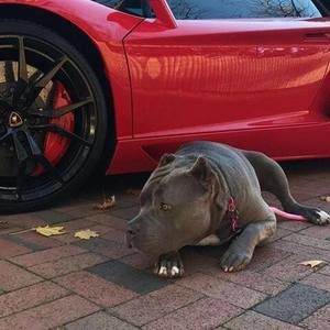 Meet your Posher, Cary