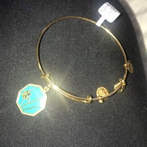 Alex an ani
