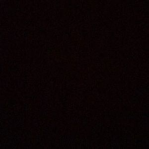 Meet your Posher, Timothy