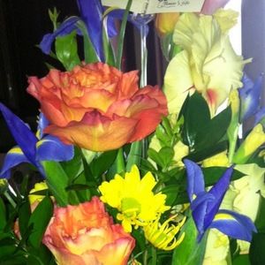 Meet your Posher, Connie