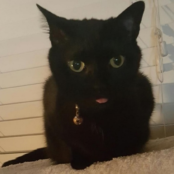 | | S A I N T + H E X | | MAKE AN OFFER & SAVE $$$ - Picture 3 of 8