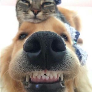 Meet your Posher, Edgar