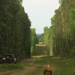 Meet your Posher, Jimmy