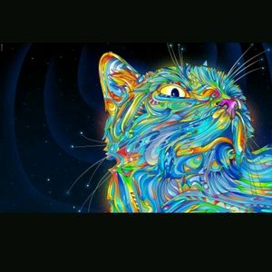 Meet your Posher, Scott